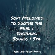 Soft Melodies to Soothe the Mind | Soothing Sounds | Spa