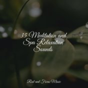 NUM Meditation and Spa Relaxation Sounds