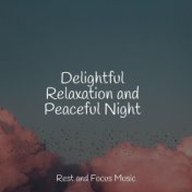 Delightful Relaxation and Peaceful Night