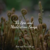 35 Spa and Meditation Songs