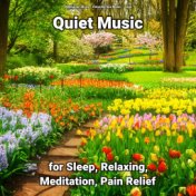 Quiet Music for Sleep, Relaxing, Meditation, Pain Relief