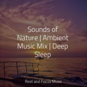 Sounds of Nature | Ambient Music Mix | Deep Sleep