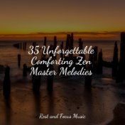 35 Unforgettable Comforting Zen Master Melodies