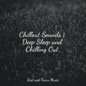 Chillout Sounds | Deep Sleep and Chilling Out