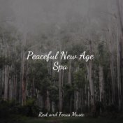 Peaceful New Age Spa