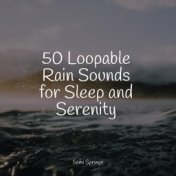 50 Loopable Rain Sounds for Ultimate Relaxation