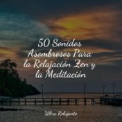 50 Sonidos Asombrosos Para la Relajación Zen y la Meditación