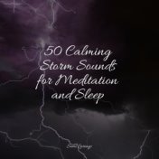 50 Calming Storm Sounds for Meditation and Sleep