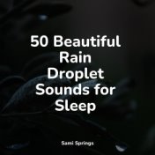 50 Beautiful Rain Droplet Sounds for Sleep