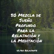 50 Mezcla de Sueño Profundo Para la Relajación y la Meditación