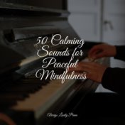 50 Calming Sounds for Peaceful Mindfulness