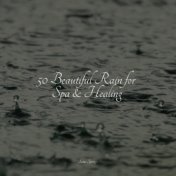 50 Rain Sounds for Sleep and Serenity