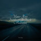 Winter Rain Soundscapes for Spa & Meditation