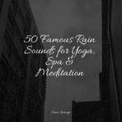 50 Famous Rain Sounds for Yoga, Spa & Meditation