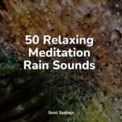 50 Relaxing Meditation Rain Sounds