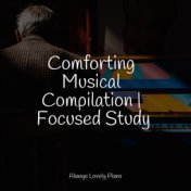 Comforting Musical Compilation | Focused Study