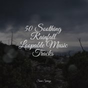 50 Soothing Rainfall Loopable Music Tracks