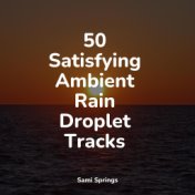 50 Satisfying Ambient Rain Droplet Tracks