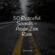 50 Peaceful Sounds - Asian Zen Rain