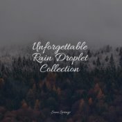 Unforgettable Rain Droplet Collection