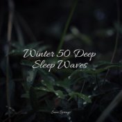 Winter 50 Deep Sleep Waves