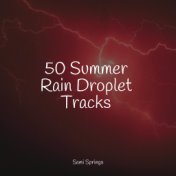 50 Summer Rain Droplet Tracks