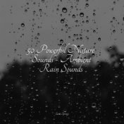50 Powerful Nature Sounds - Ambient Rain Sounds