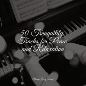 50 Tranquility Tracks for Peace and Relaxation