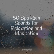 50 Peaceful Loopable Rain Sounds for Sleep