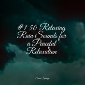 #1 50 Relaxing Rain Sounds for a Peaceful Relaxation