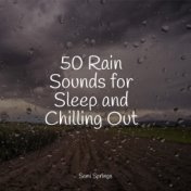 50 Comforting Summer Rain Sounds