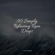 50 Simply Relaxing Rain Drops