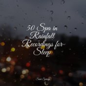 50 Spa in Rainfall Recordings for Sleep