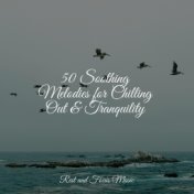 50 Soothing Melodies for Chilling Out & Tranquility