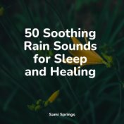 50 Soothing Rain Sounds for Sleep and Healing