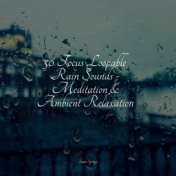50 Focus Loopable Rain Sounds - Meditation & Ambient Relaxation