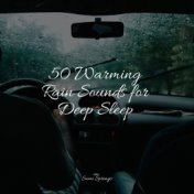 50 Warming Rain Sounds for Deep Sleep