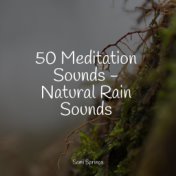 50 Meditation Sounds - Natural Rain Sounds