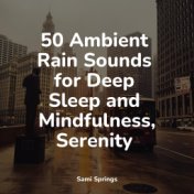 50 Ambient Rain Sounds for Deep Sleep and Mindfulness, Serenity