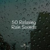 50 Soothing Winter Rain Sounds