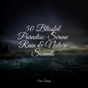 50 Blissful Paradise: Serene Rain & Nature Sounds