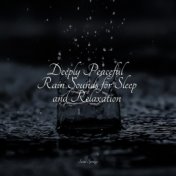 Deeply Peaceful Rain Sounds for Sleep and Relaxation
