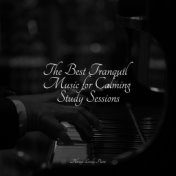The Best Tranquil Music for Calming Study Sessions