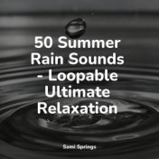 50 Summer Rain Sounds - Loopable Ultimate Relaxation