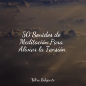 50 Sonidos de Meditación Para Aliviar la Tensión