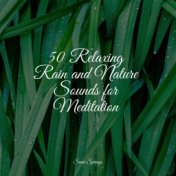 50 Relaxing Rain and Nature Sounds for Meditation