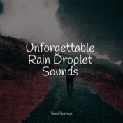 Unforgettable Rain Droplet Sounds