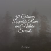 50 Calming Loopable Rain and Nature Sounds