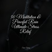 50 Meditation & Peaceful Rain Ultimate Stress Relief