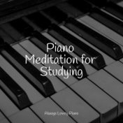 Piano Meditation for Studying